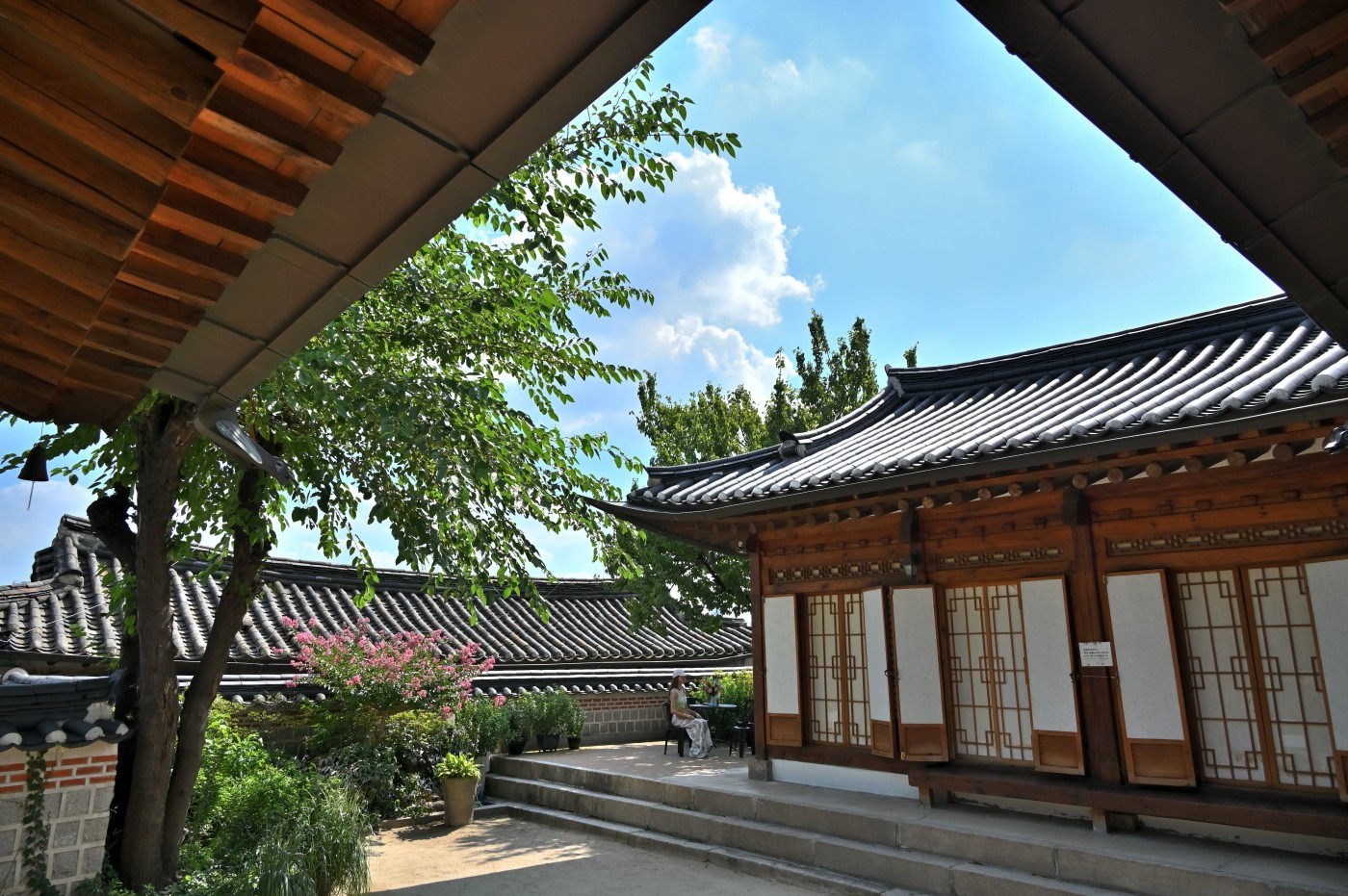 DSC_1153_00250.jpg