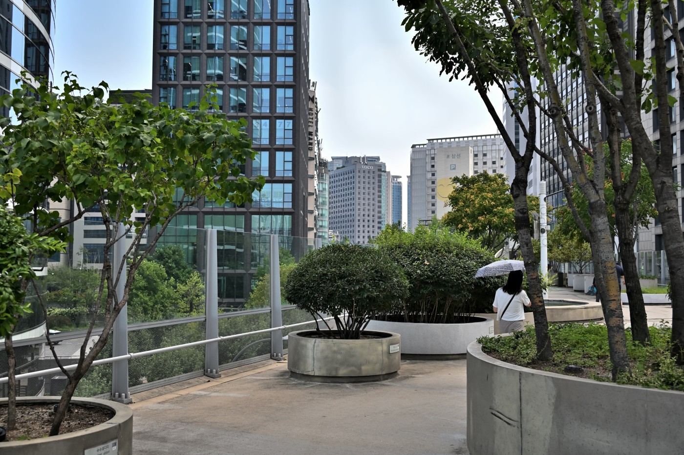DSC_1226_00320.jpg