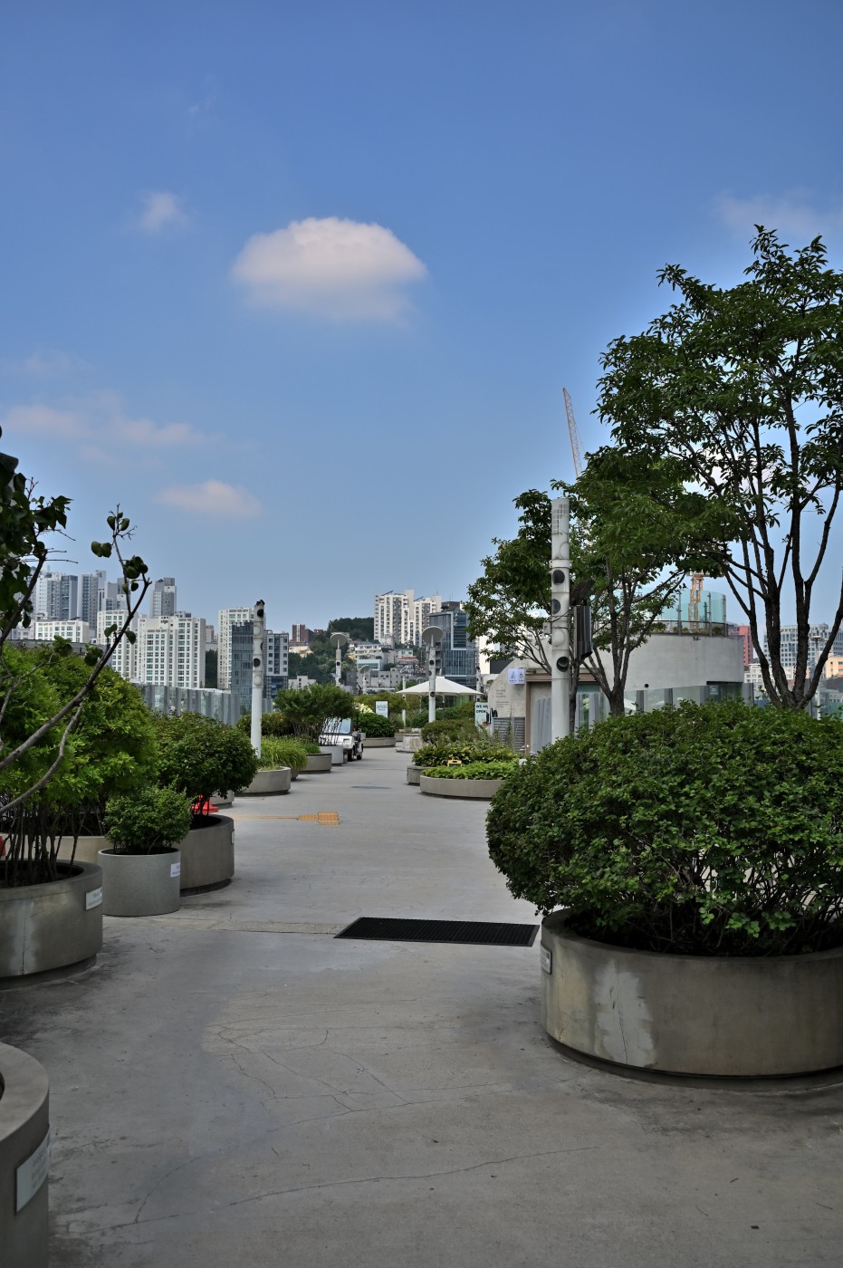 DSC_1228_00322.jpg