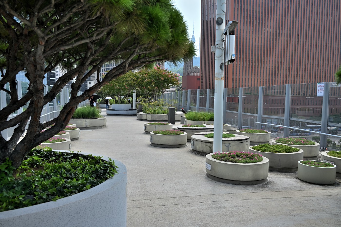 DSC_1234_00328.jpg