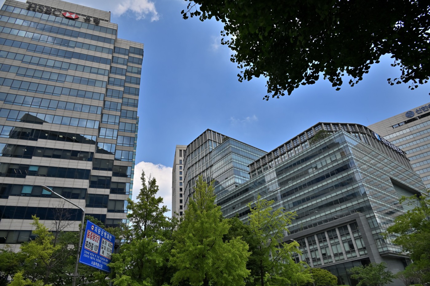 DSC_1247_00339.jpg