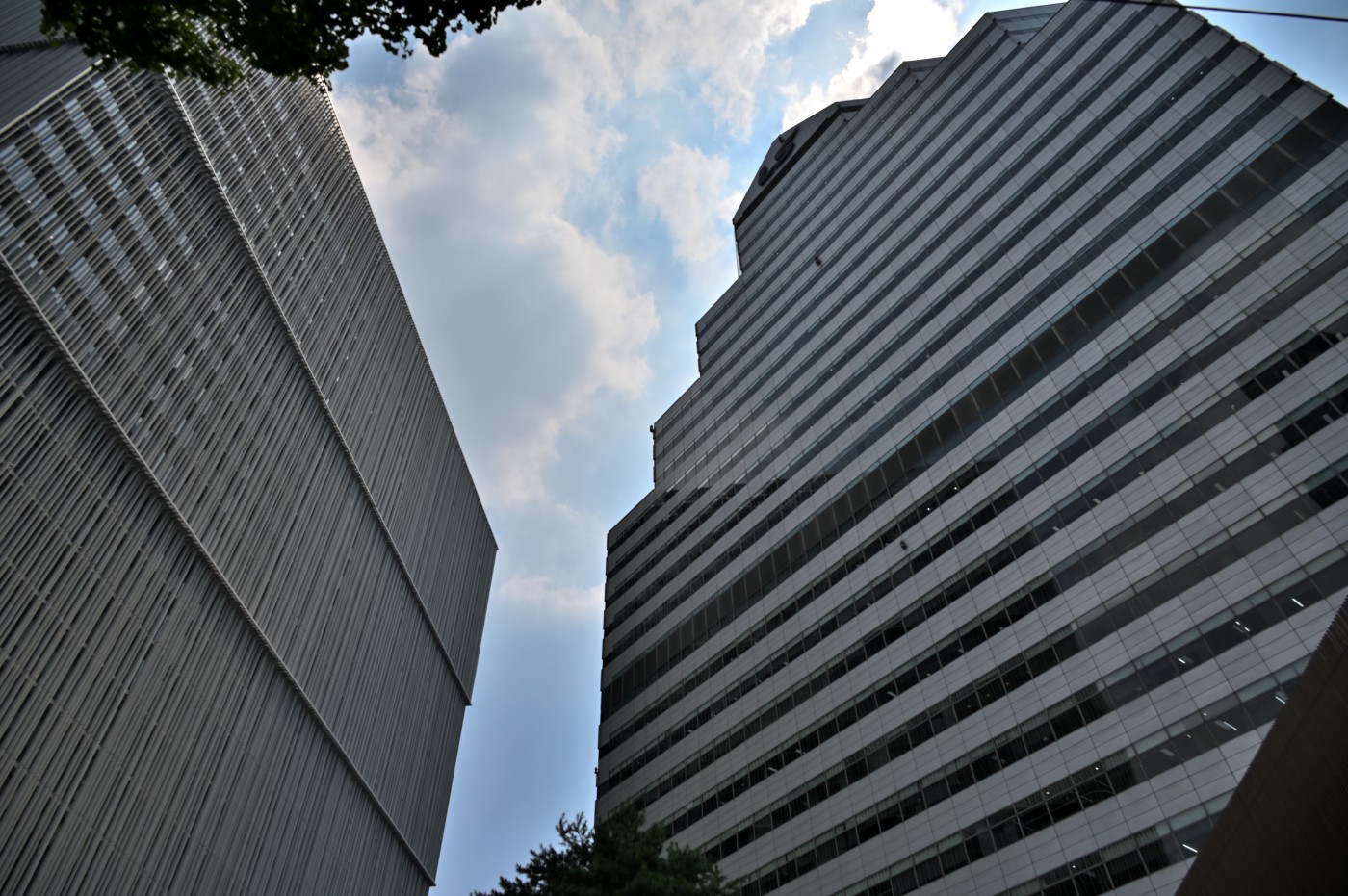 DSC_1264_00356.jpg