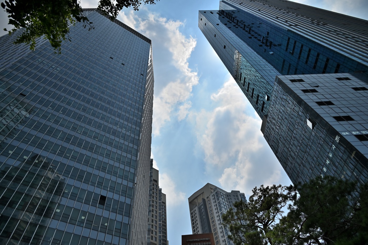 DSC_1266_00358.jpg