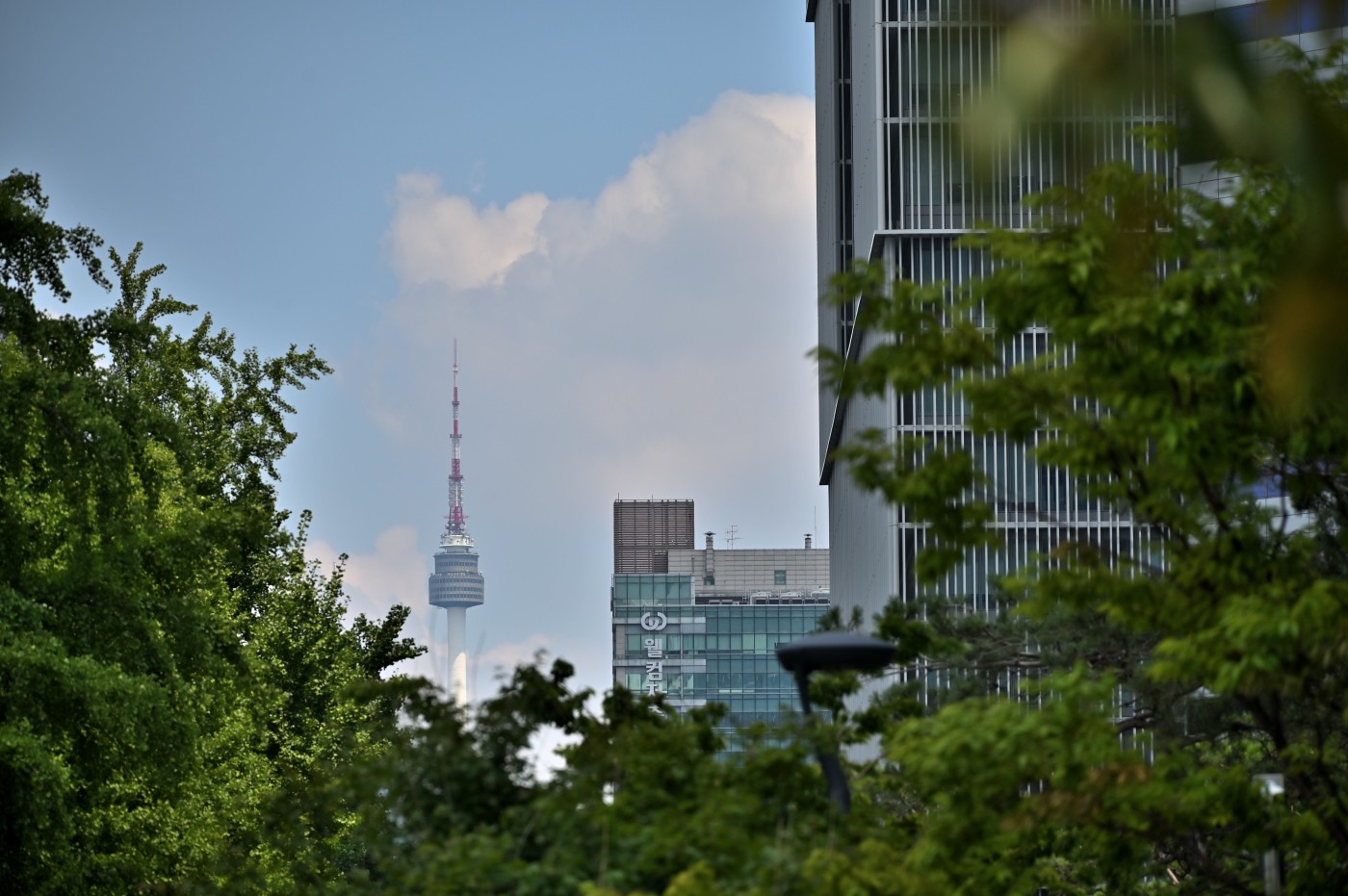 DSC_1270_00362.jpg