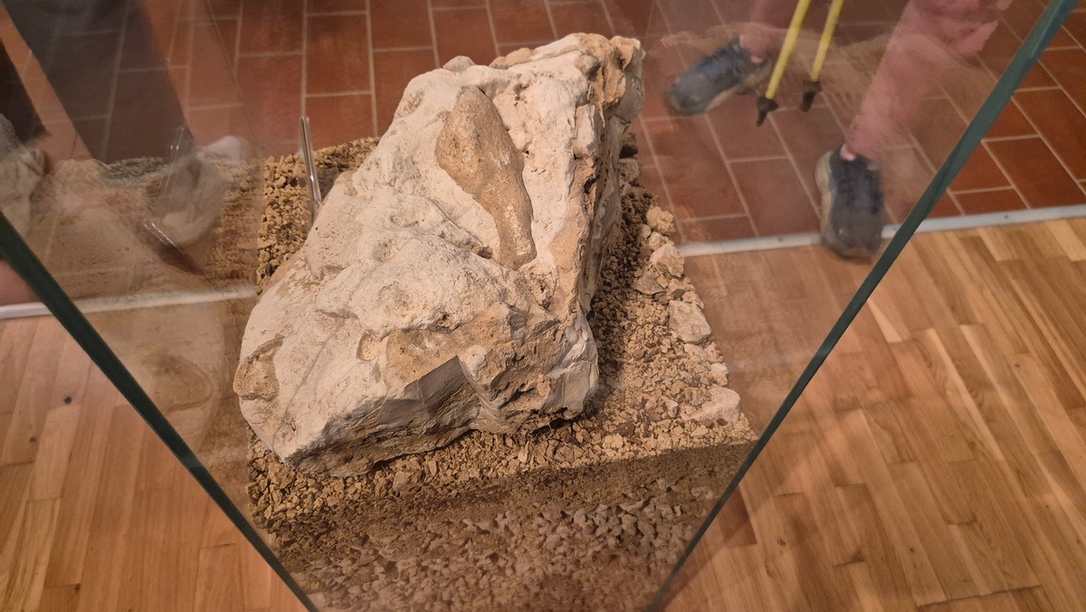 29-20260606_133513.jpg