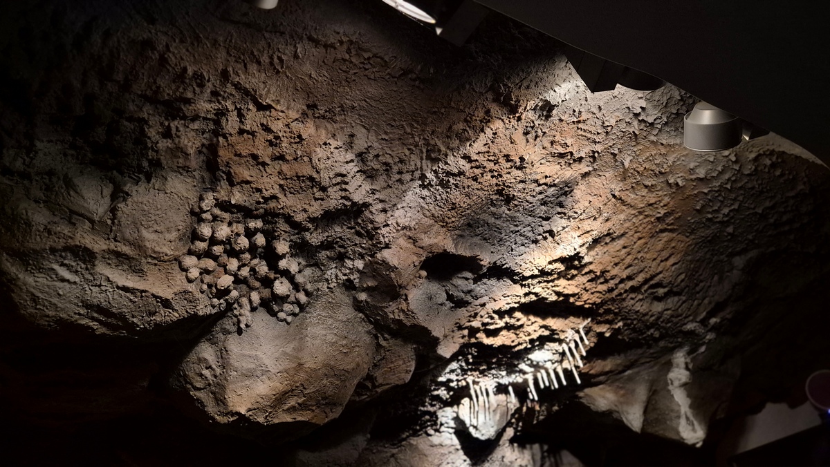 37-20260606_134006.jpg