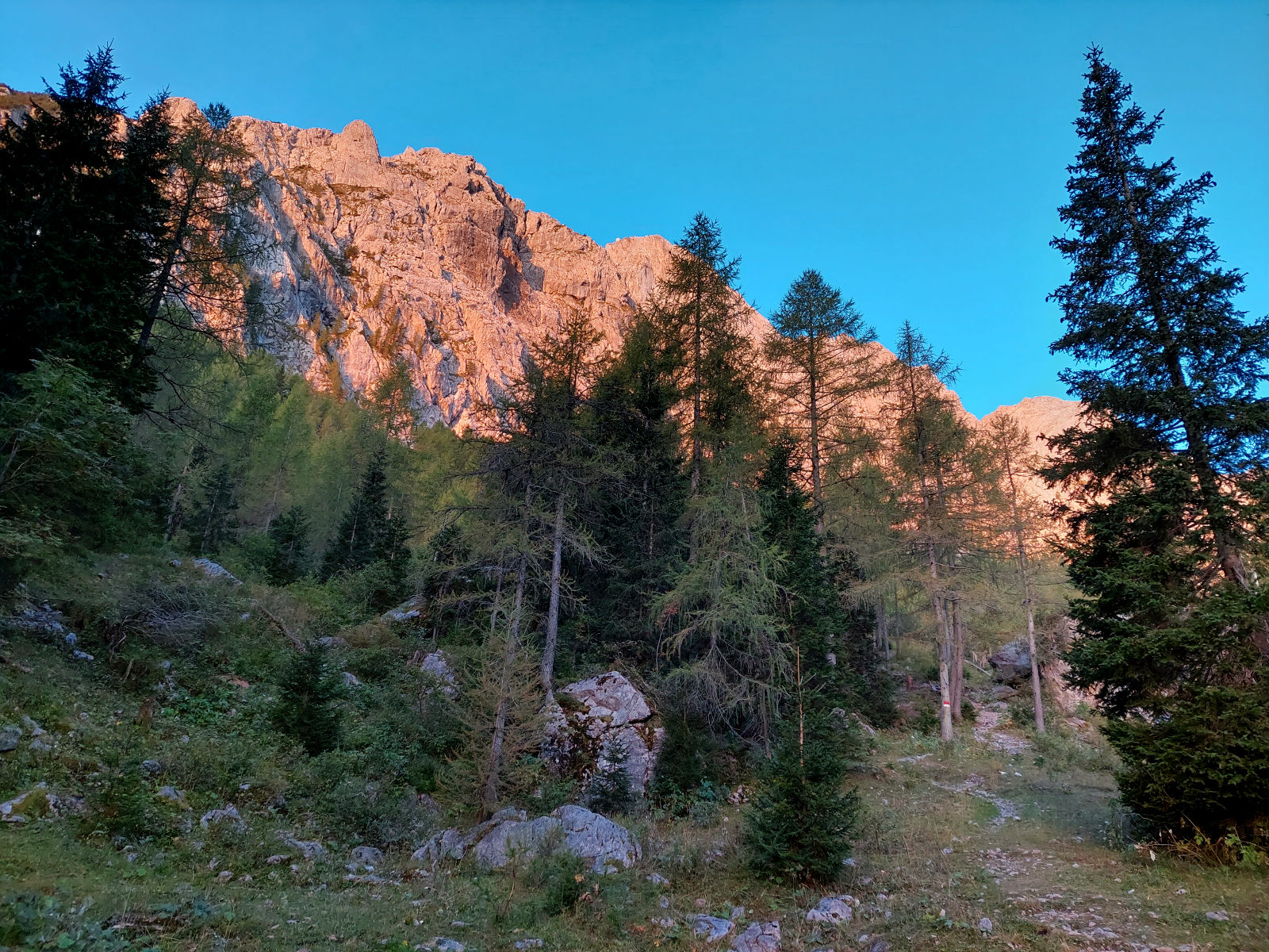20230912_065403.jpg