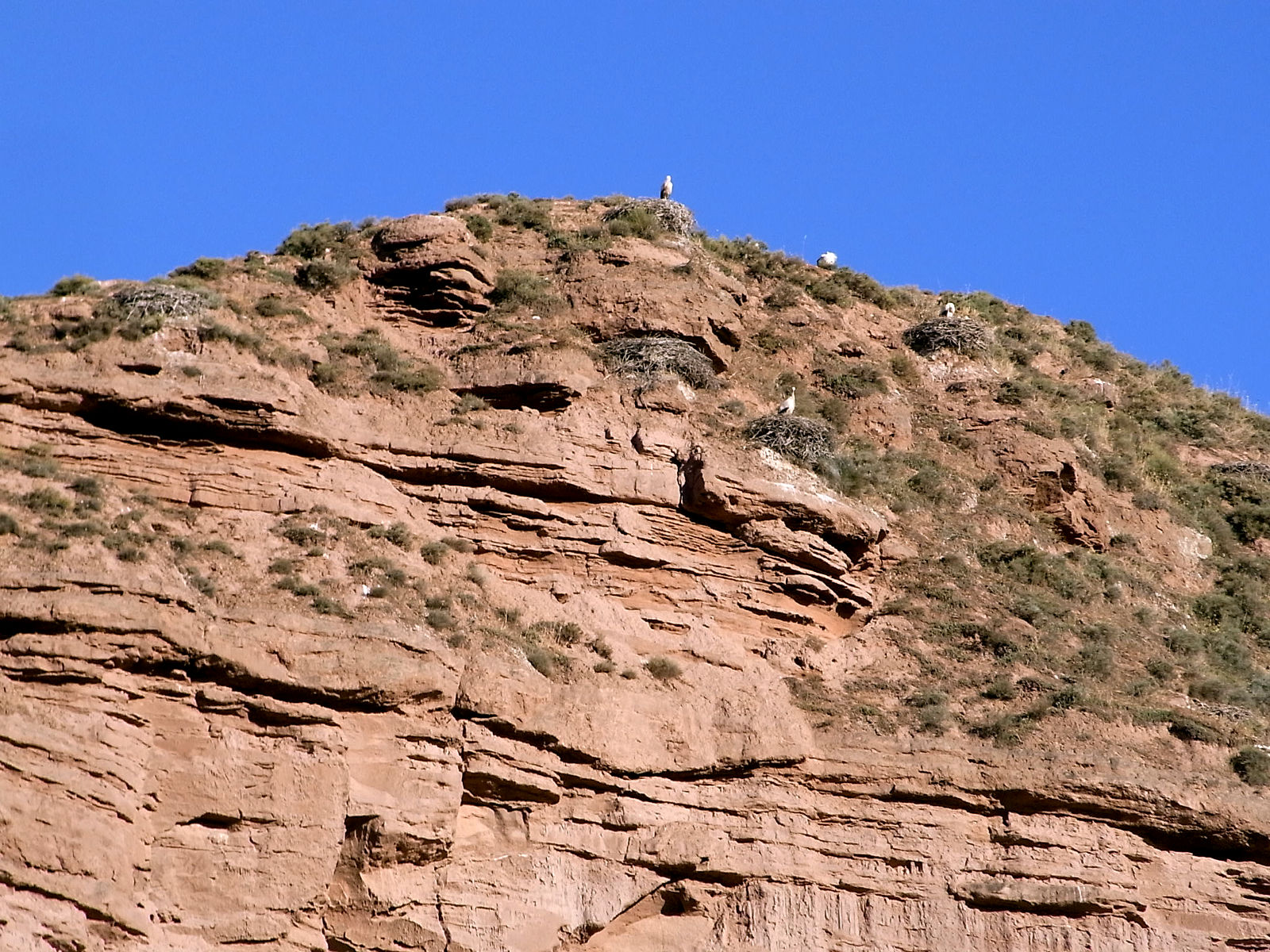 P07G2237.JPG