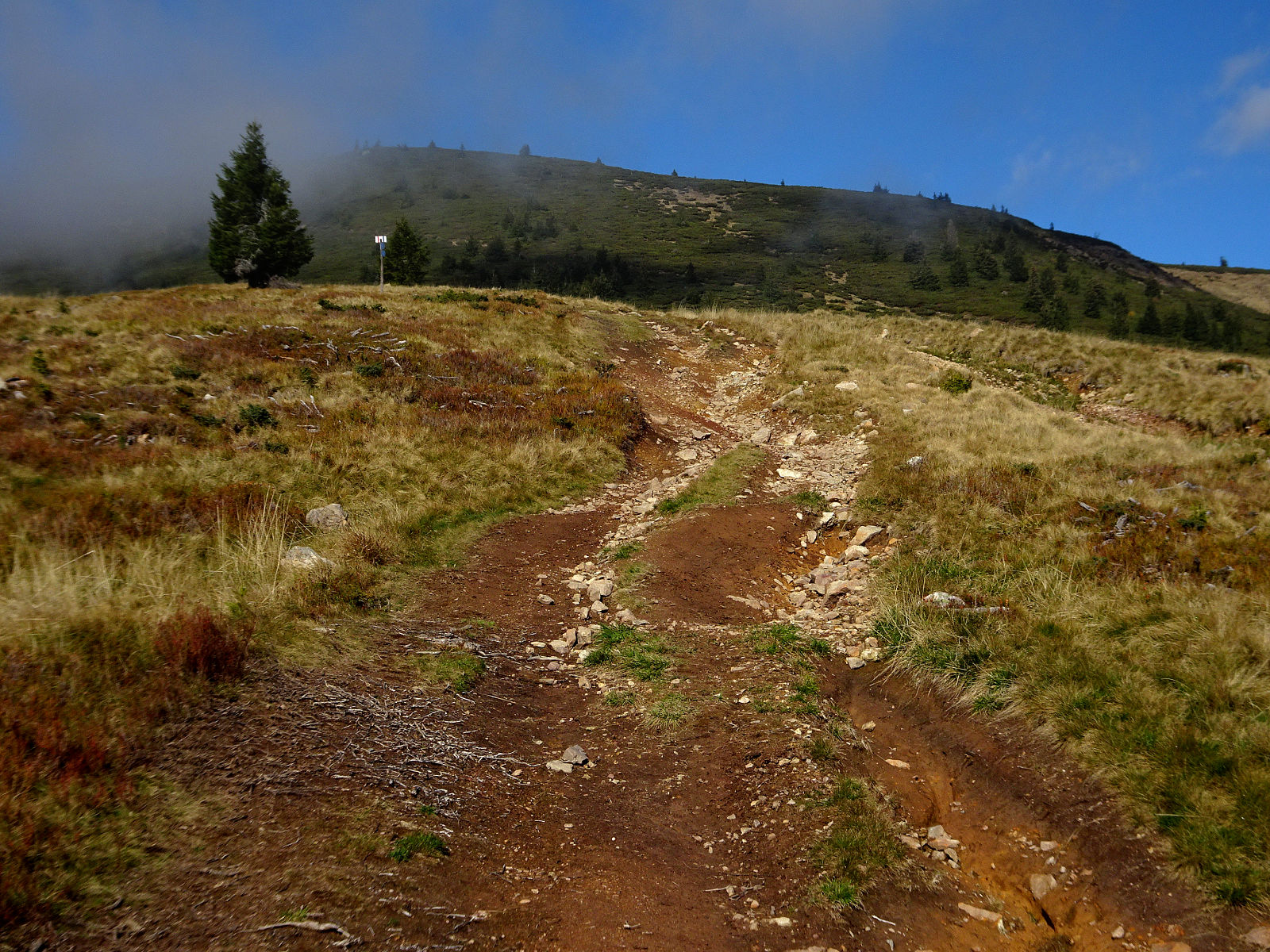 DSC01046.JPG