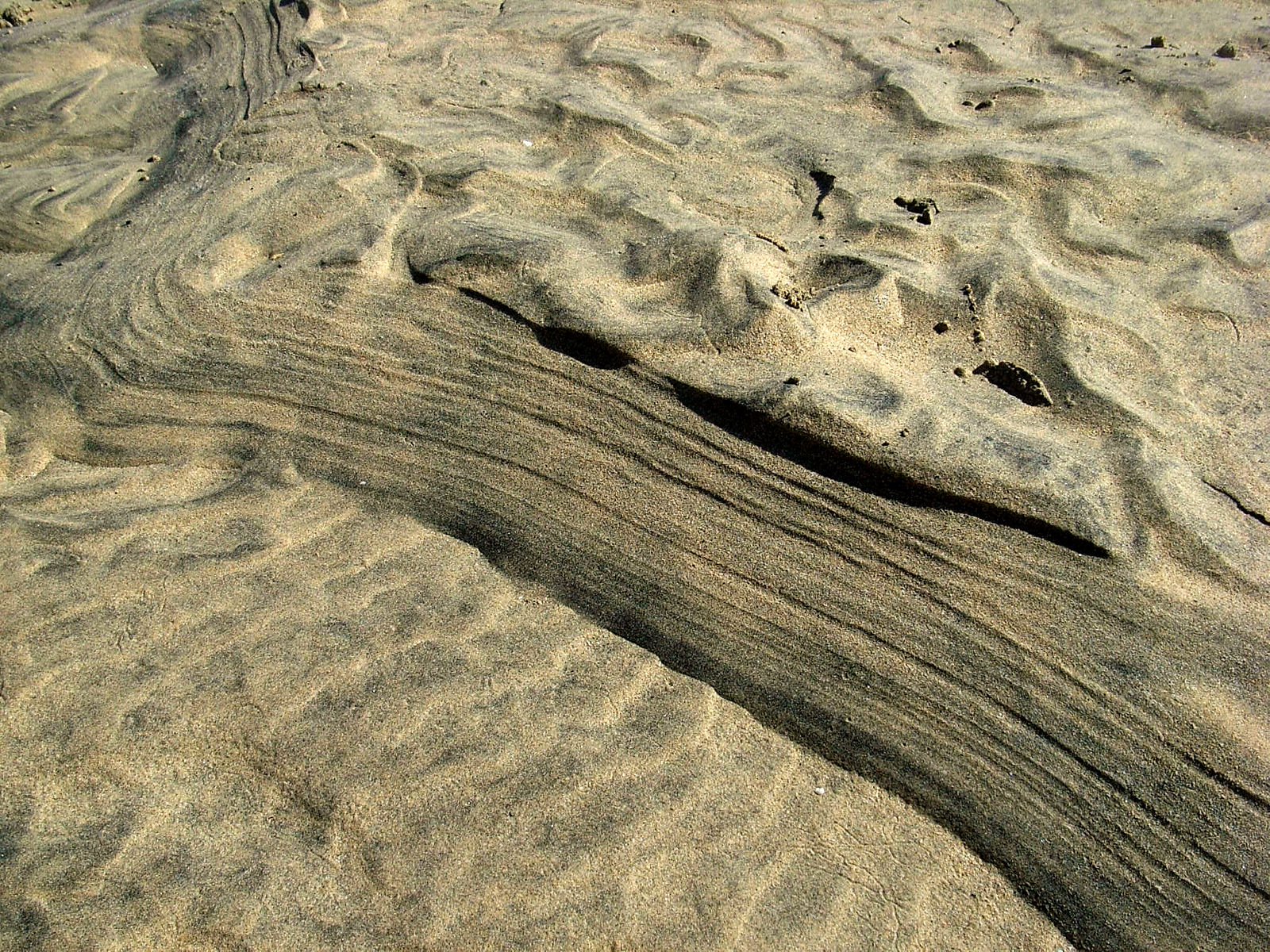 P25G0919.JPG