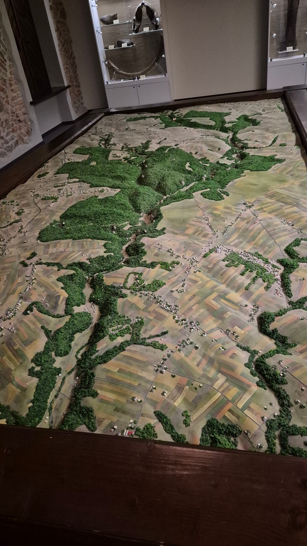 43-20260606_134637.jpg