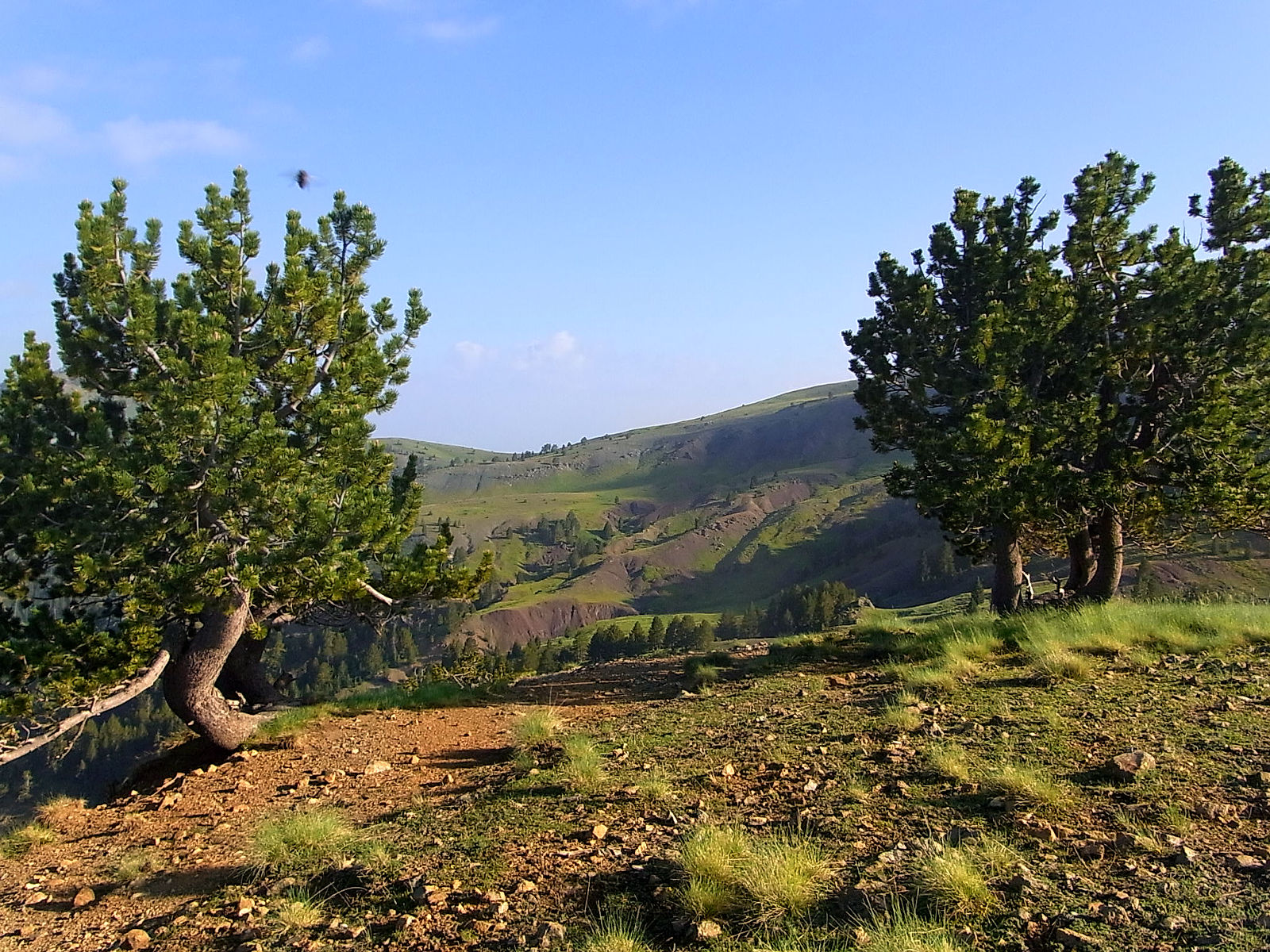 P21G1852.JPG