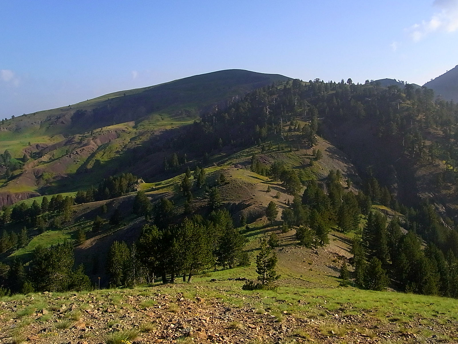 P21G1853.JPG