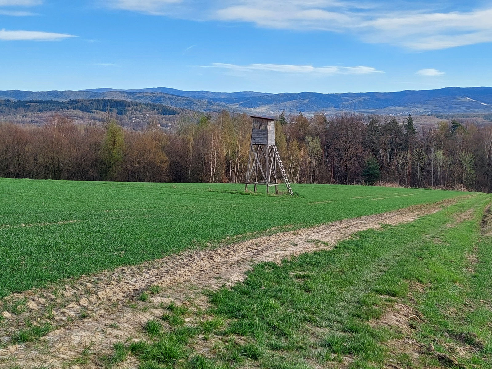 20260405_170434.jpg