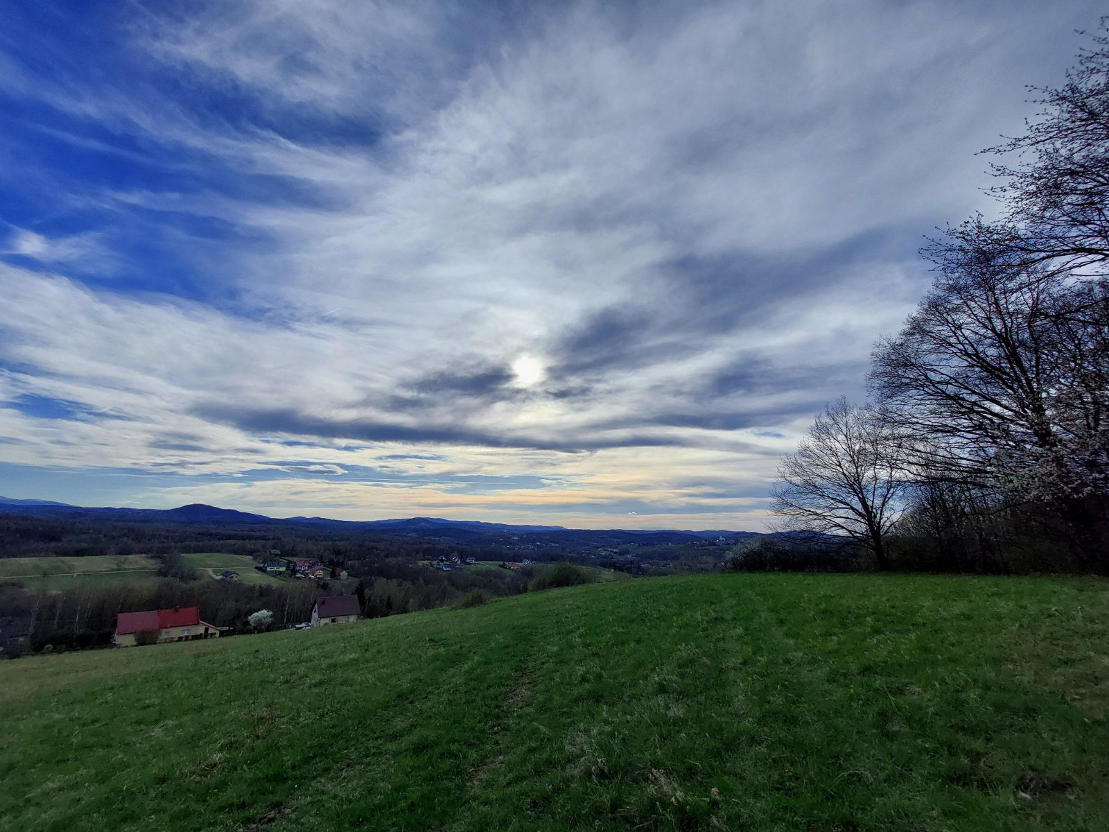 20260405_170853.jpg