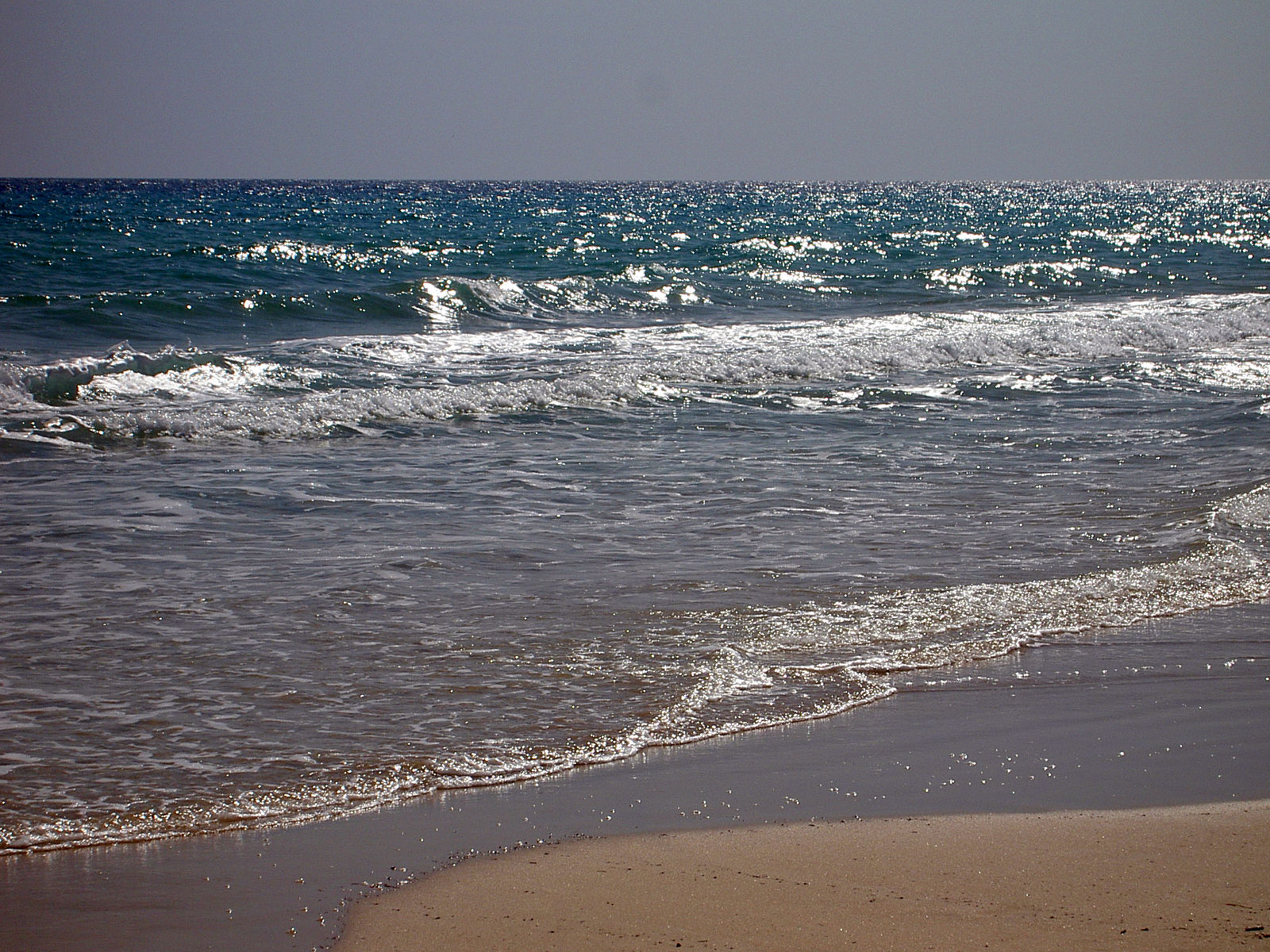 PICT5018.JPG