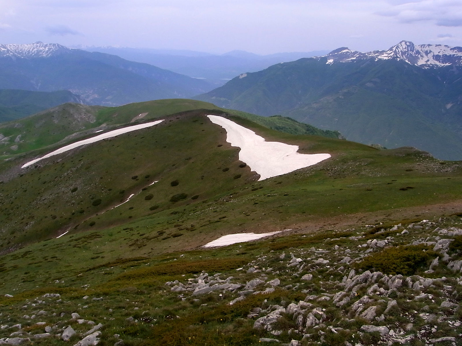 RIMG1754.JPG