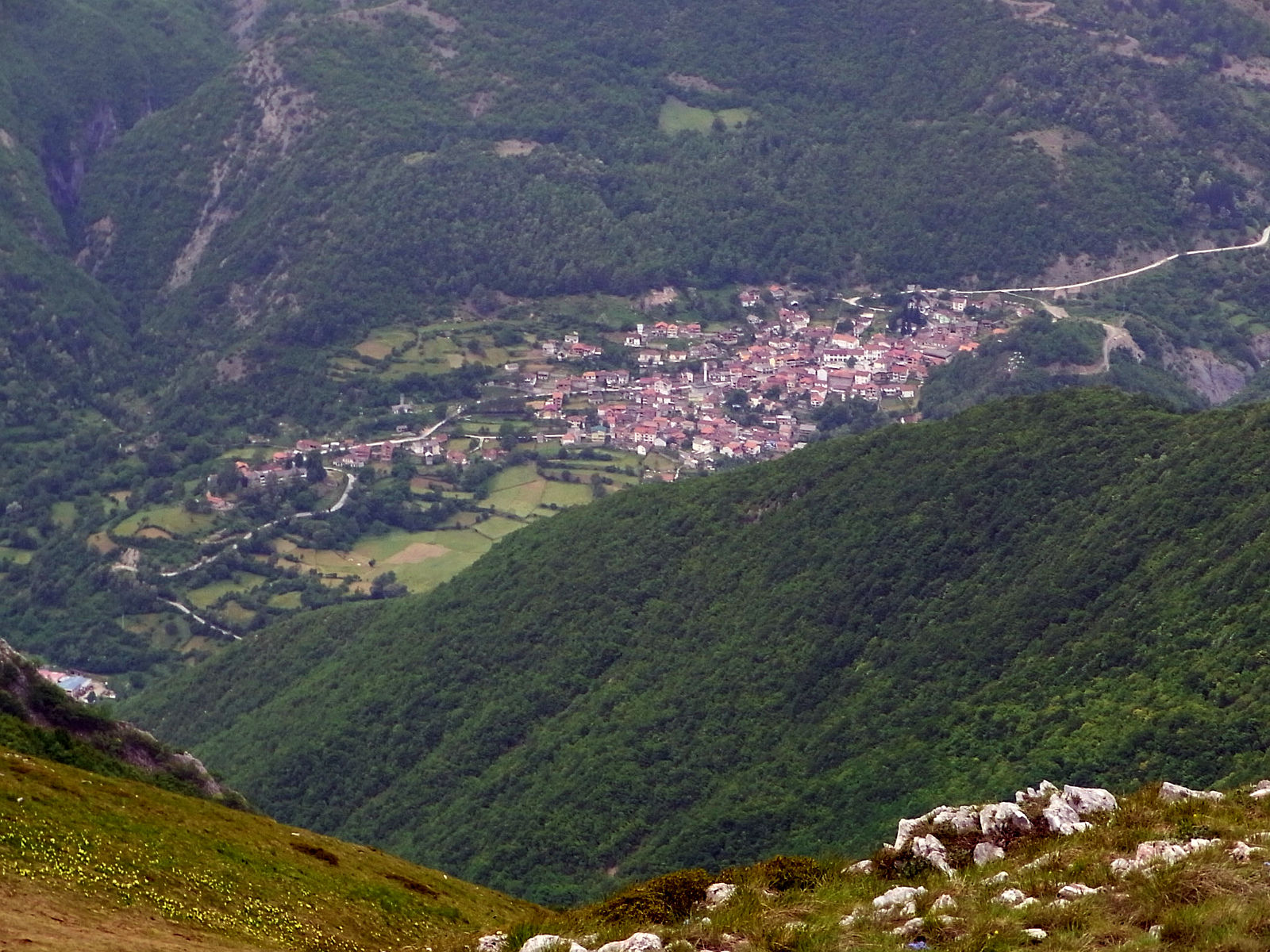 RIMG1761.JPG