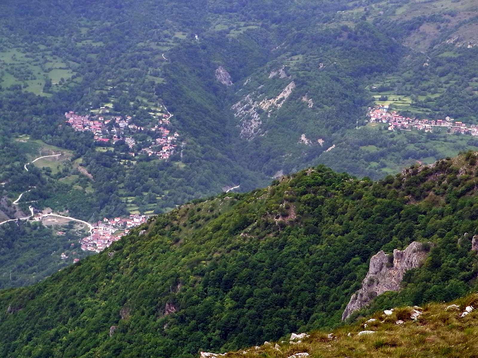 RIMG1762.JPG