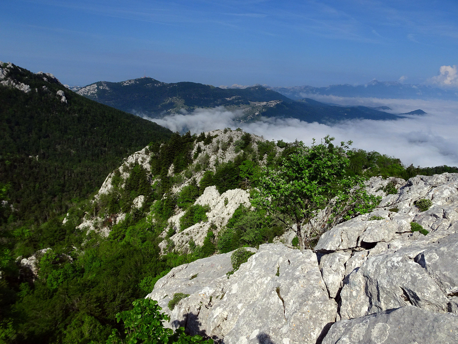 DSC01099.JPG