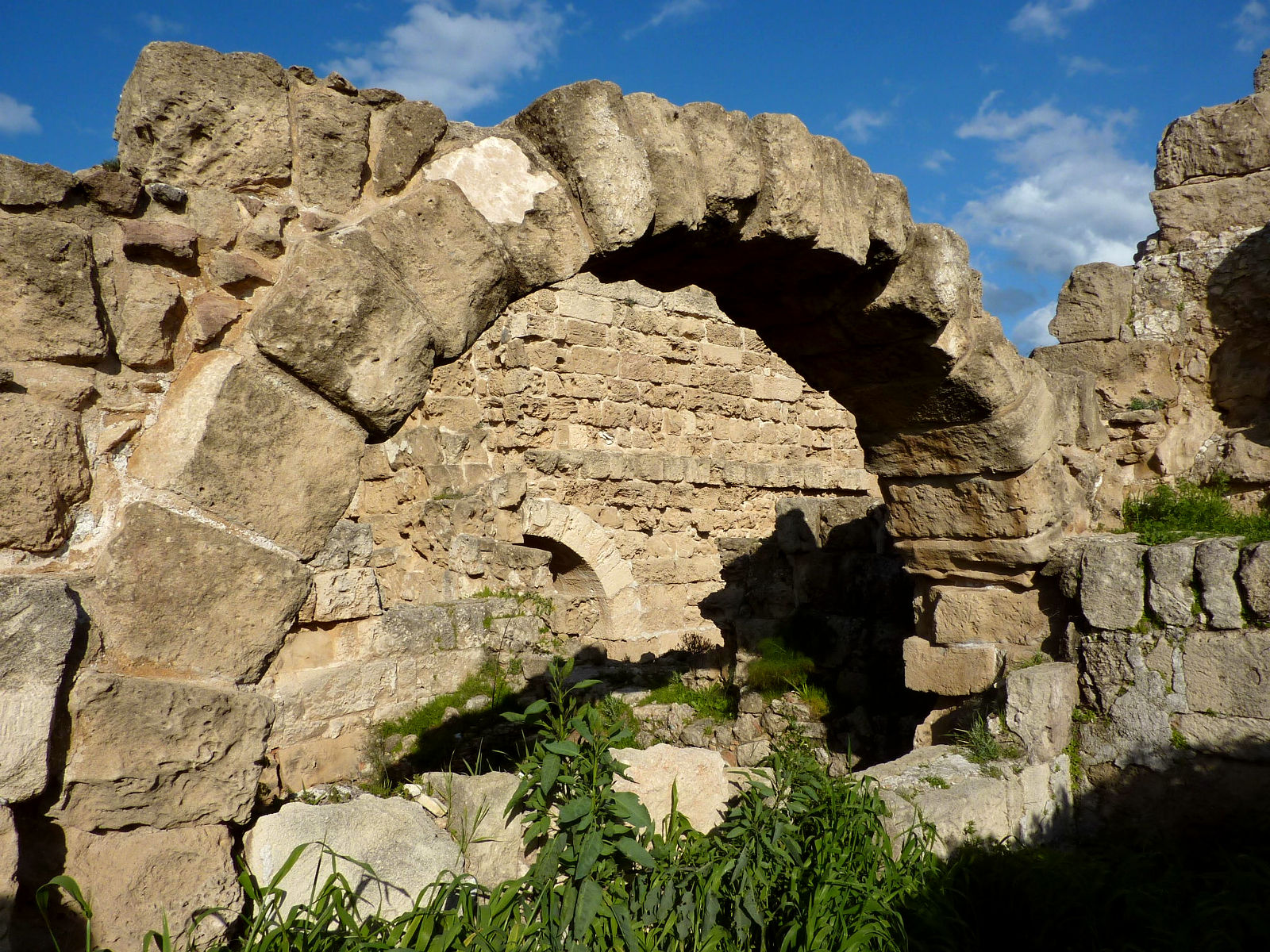 P1060083.JPG