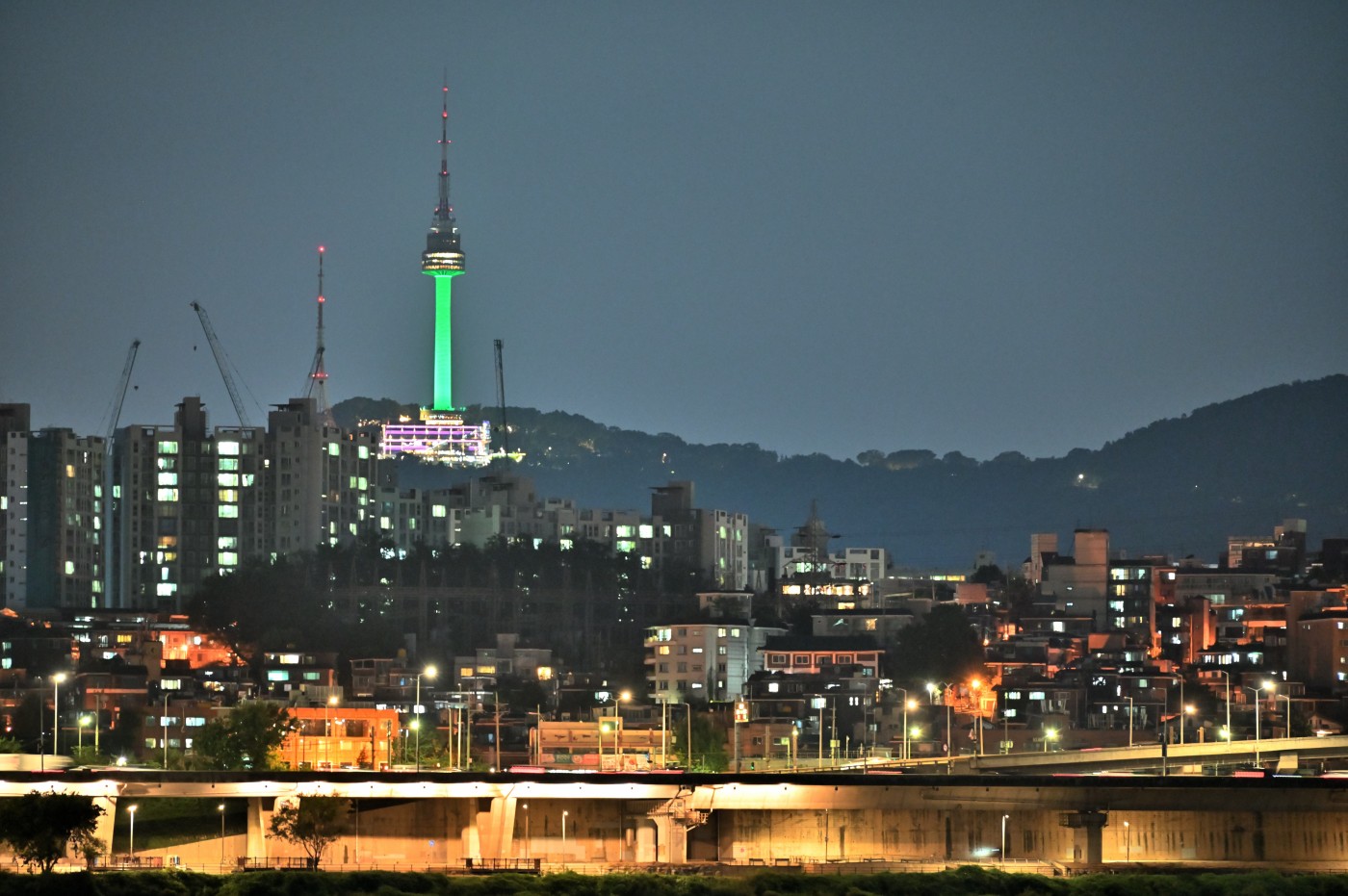 DSC_1353_00445.jpg
