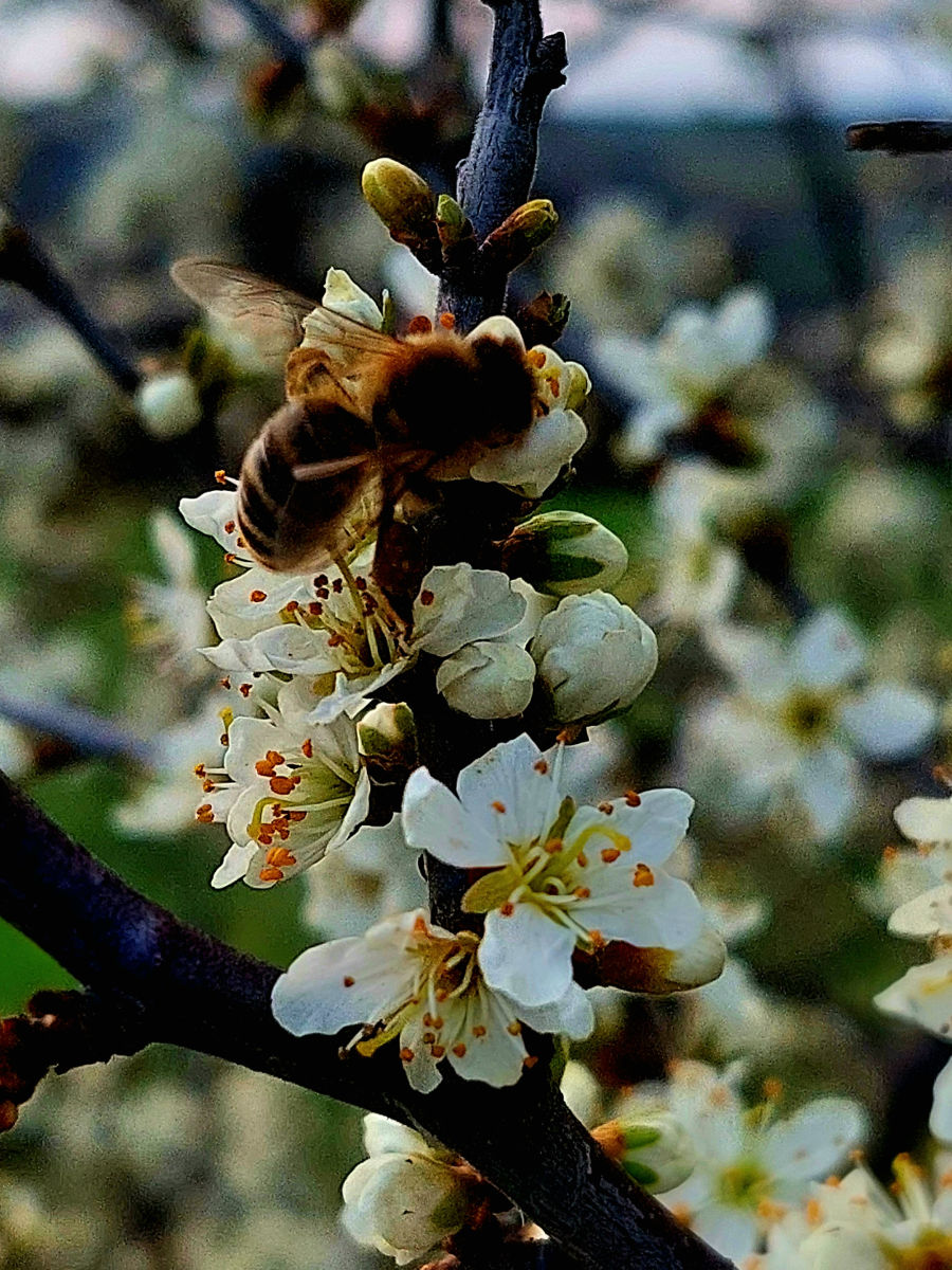 20260405_171140.jpg