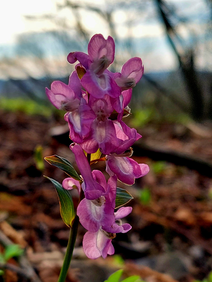 20260405_171634.jpg