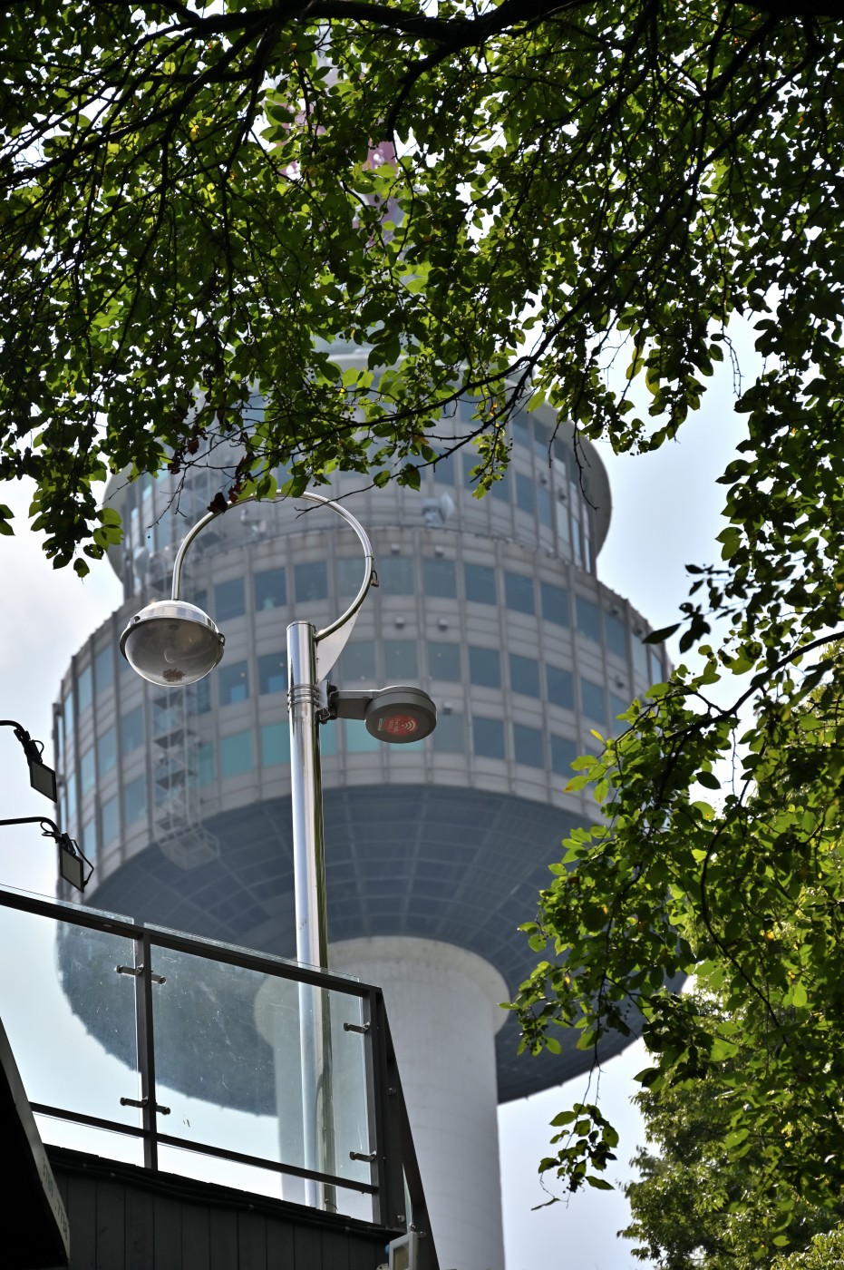DSC_1387_00478.jpg
