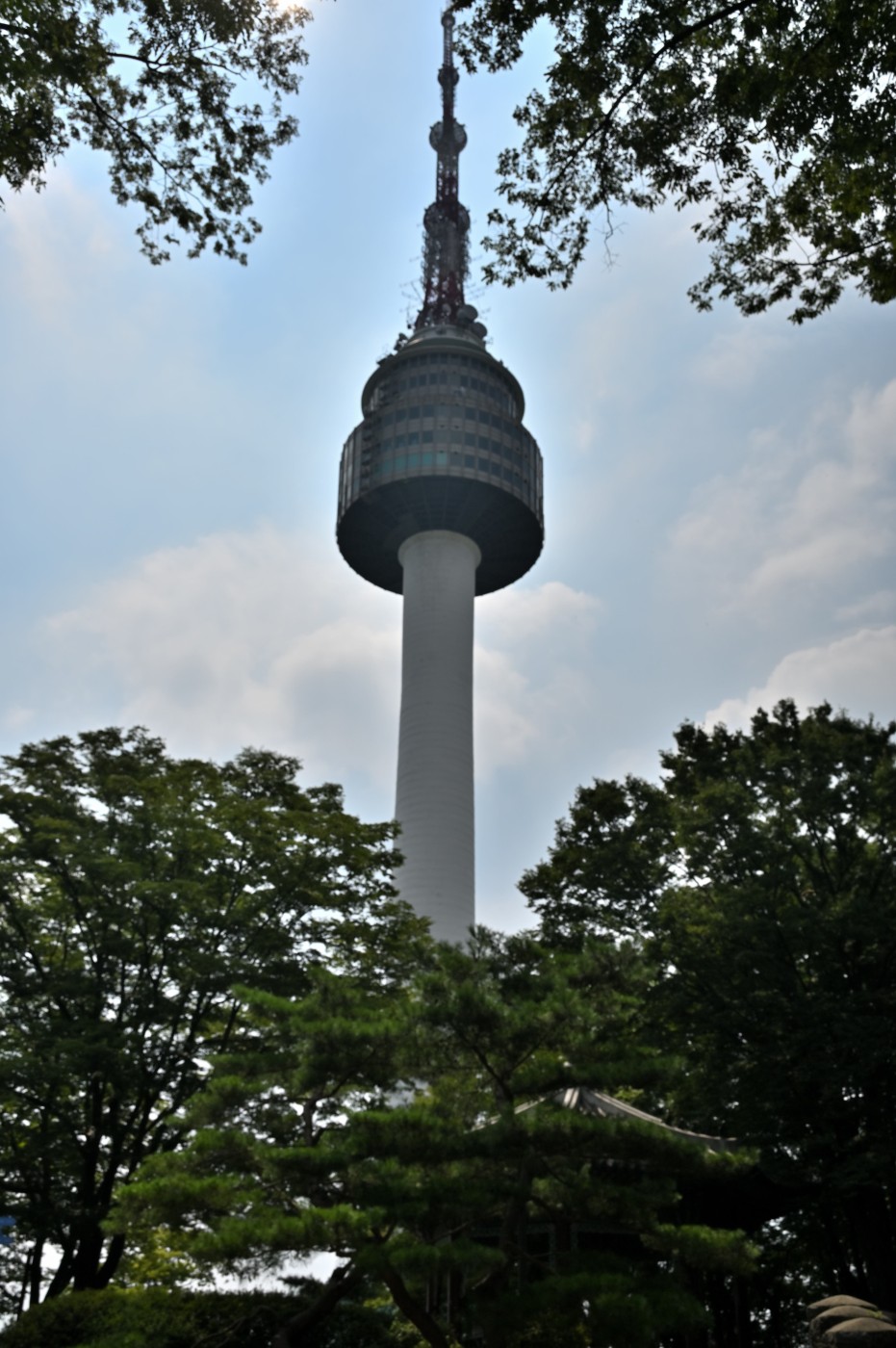 DSC_1393_00484.jpg