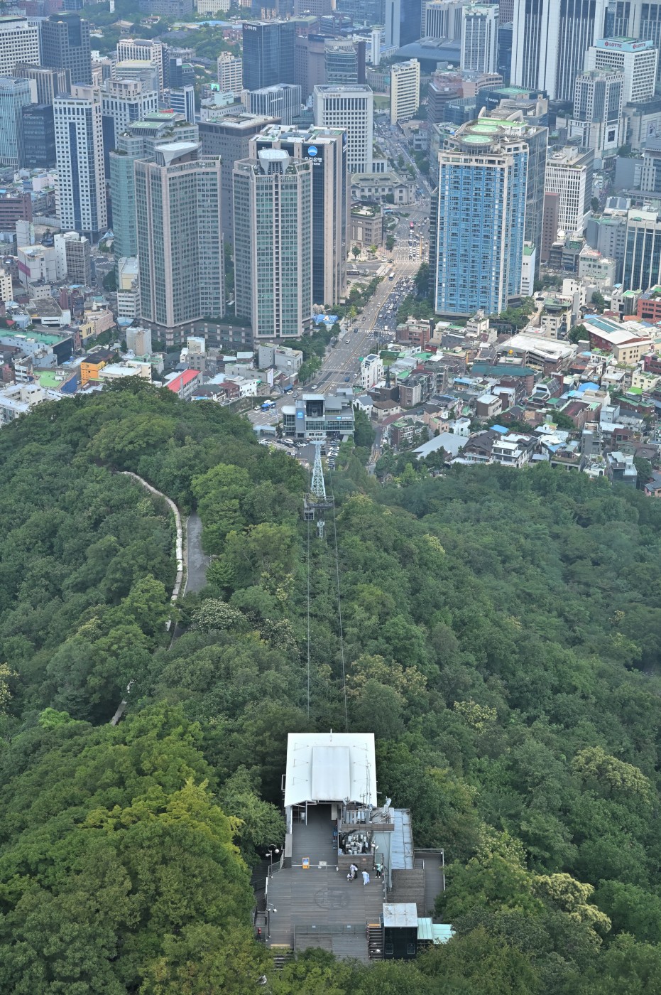 DSC_1412_00503.jpg