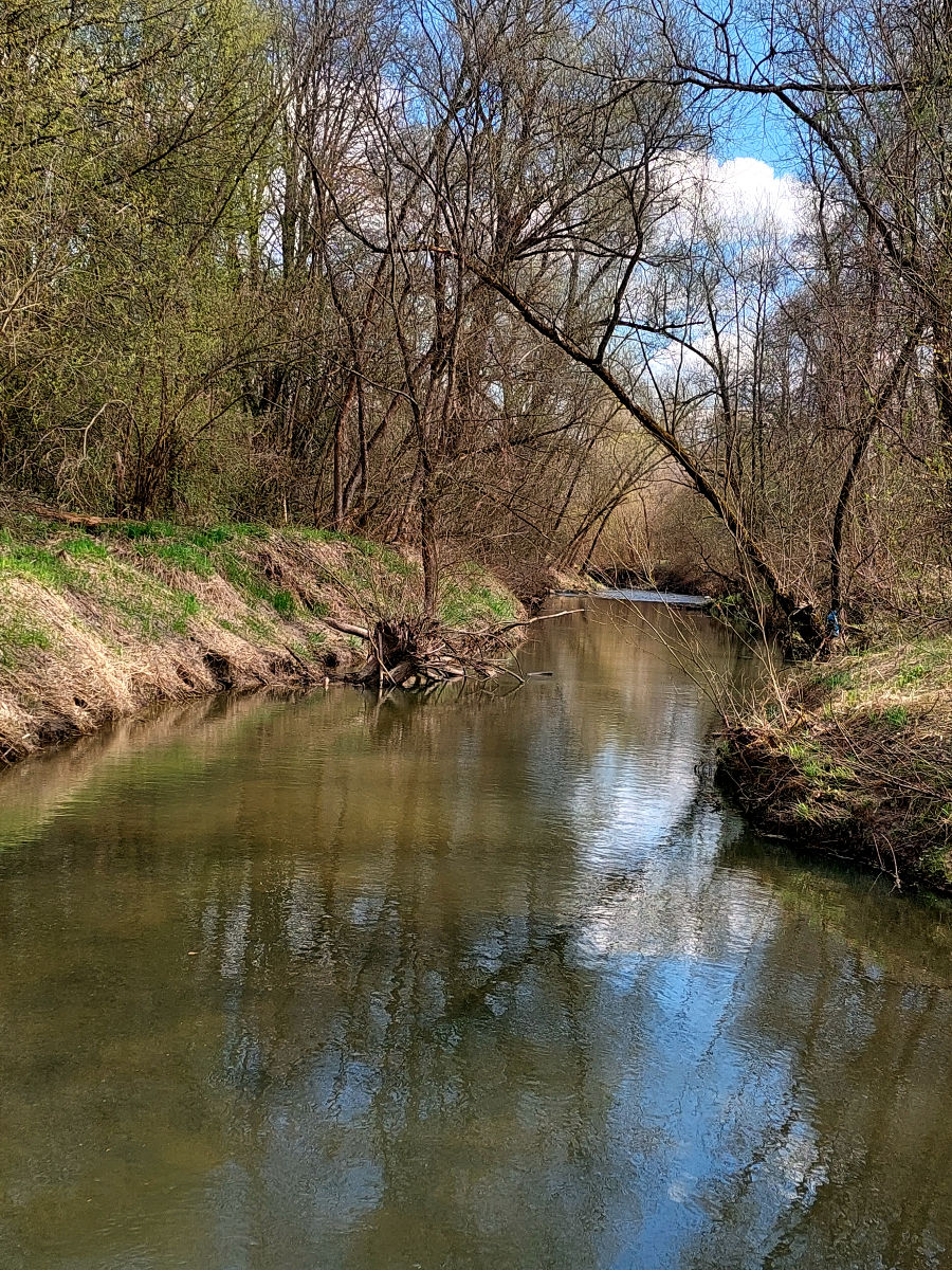20260406_105606.jpg