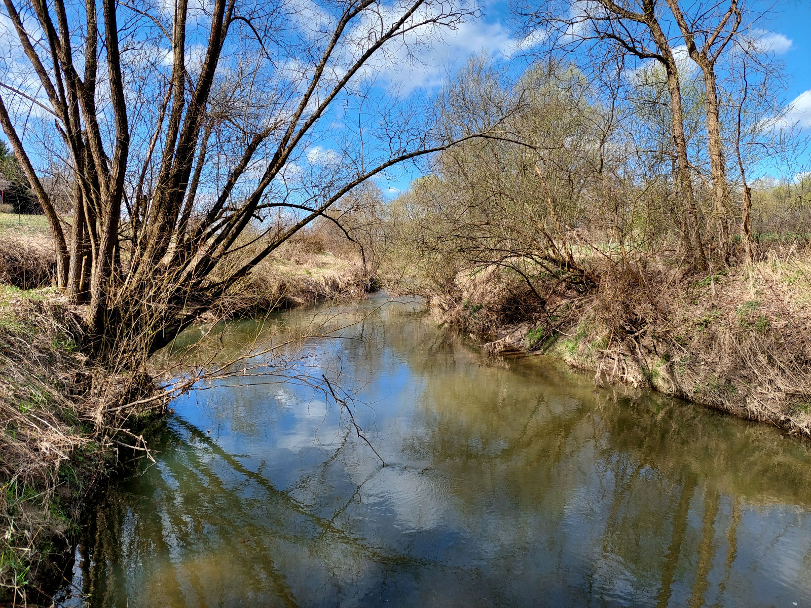 20260406_105616.jpg