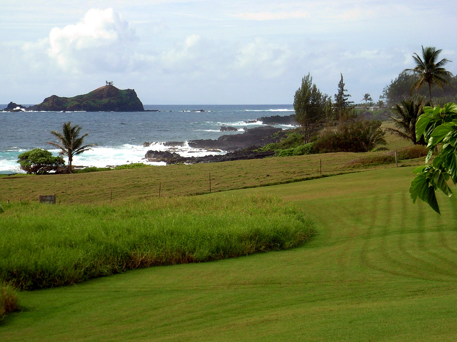 P11G0424.JPG