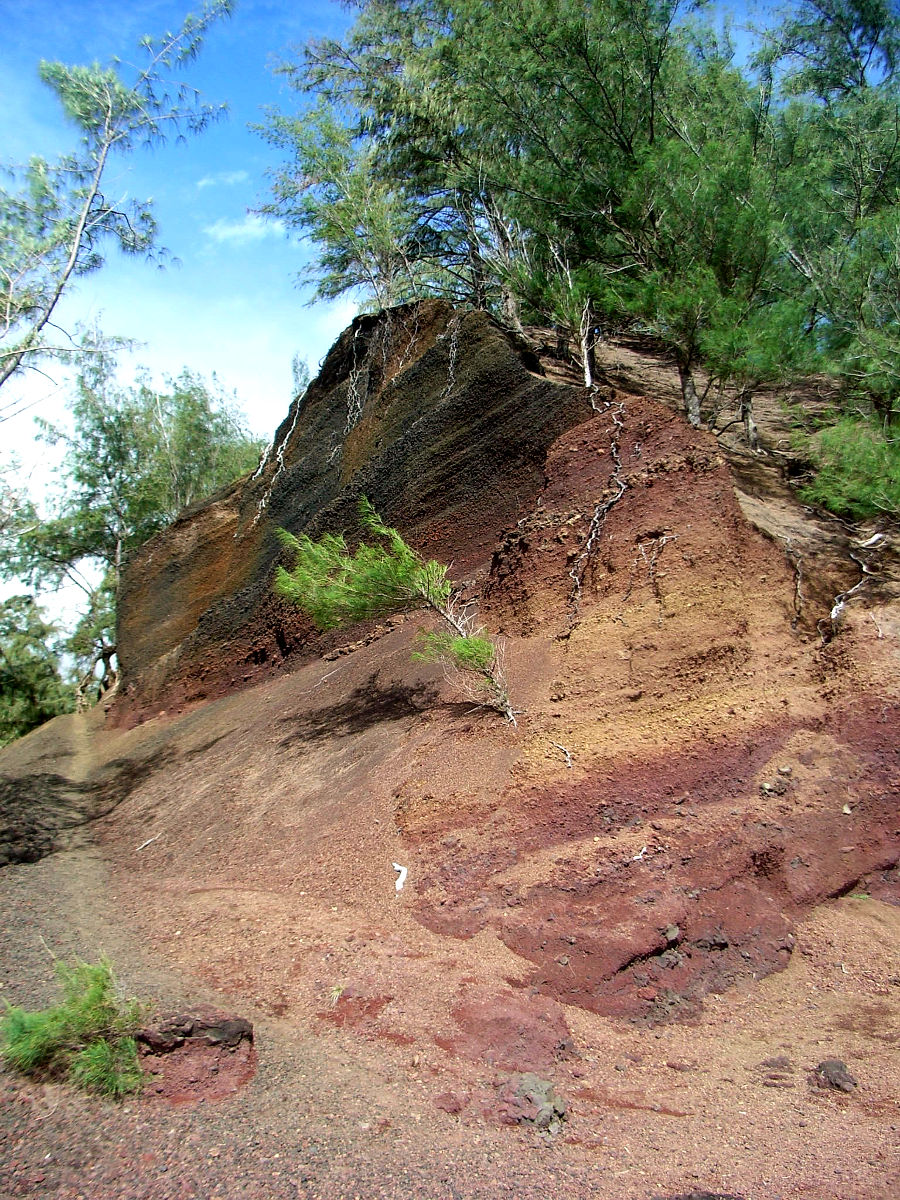 P11G0440.JPG