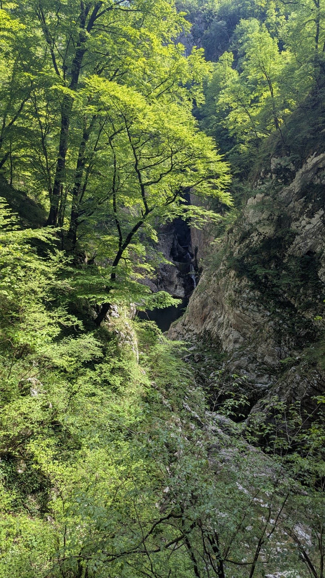 8 - kanion 01.jpg