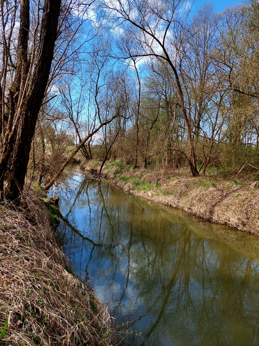 20260406_110024.jpg