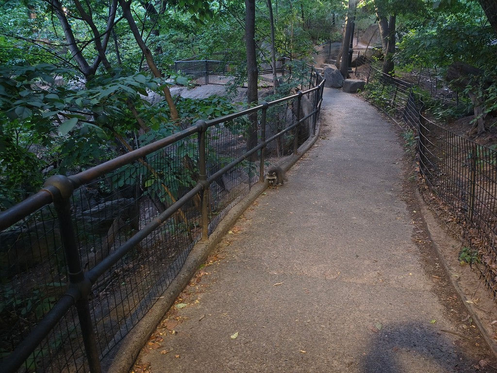 IMG_20260704_201246089_HDR.jpg