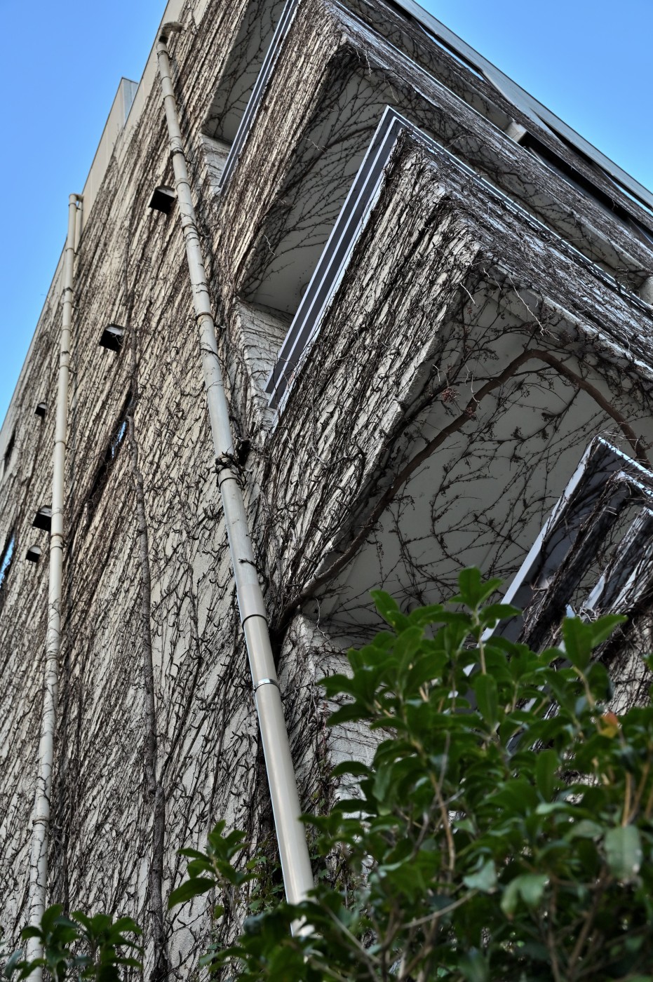 DSC_2072_01148.jpg