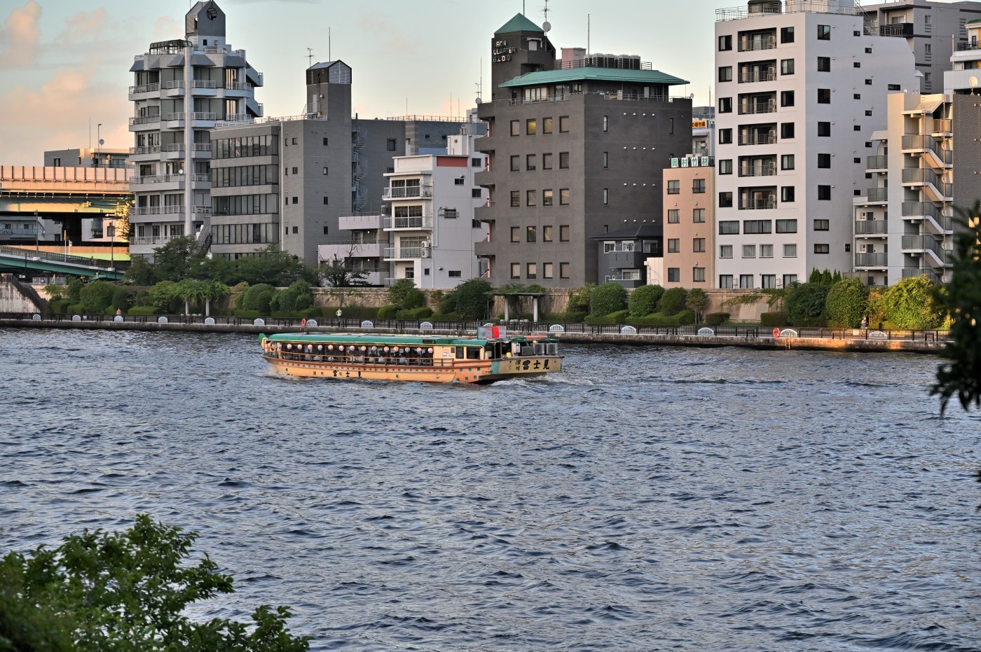 DSC_2075_01151.jpg