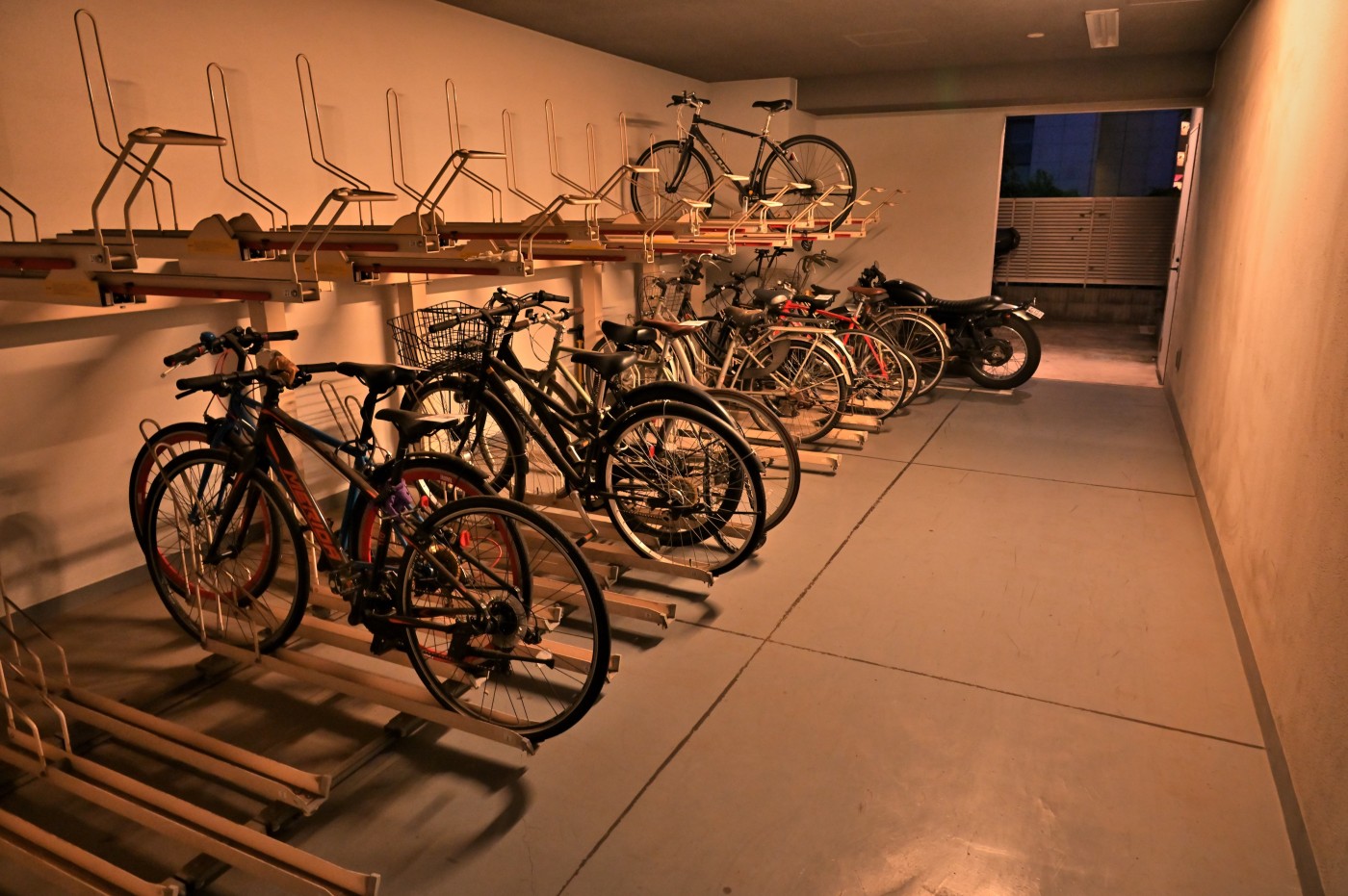 DSC_2109_01184.jpg