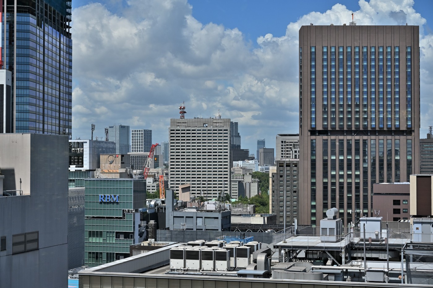 DSC_2131_01206.jpg