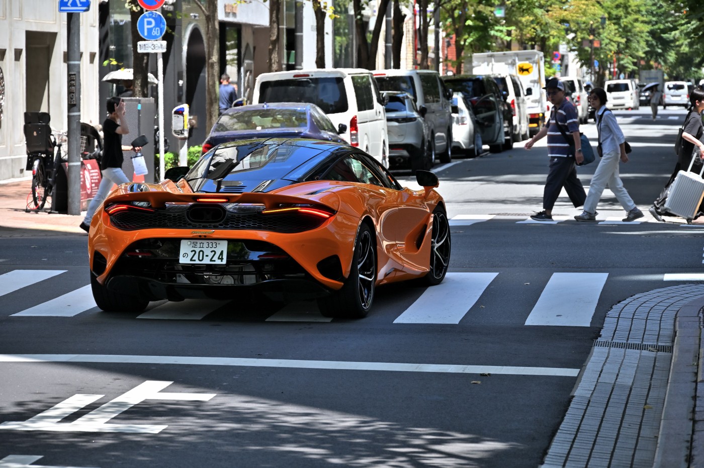 DSC_2156_01231.jpg