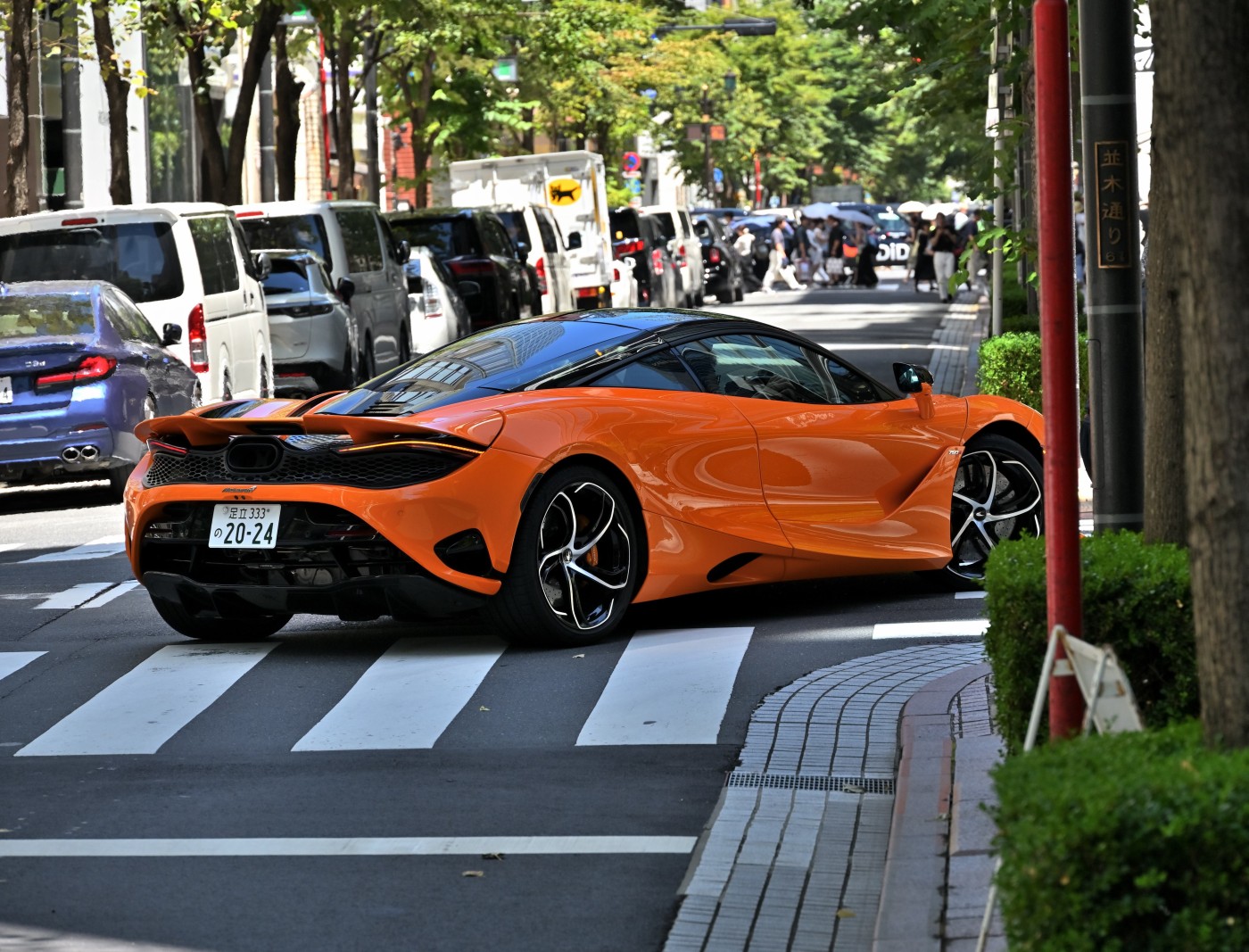 DSC_2158_01233.jpg
