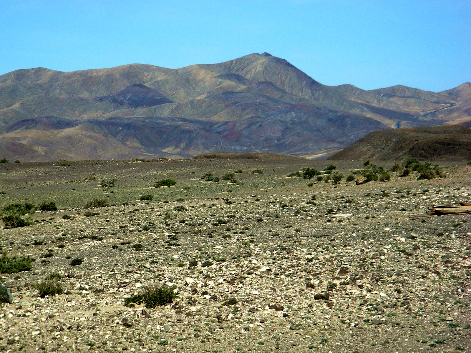 P25G0949.JPG