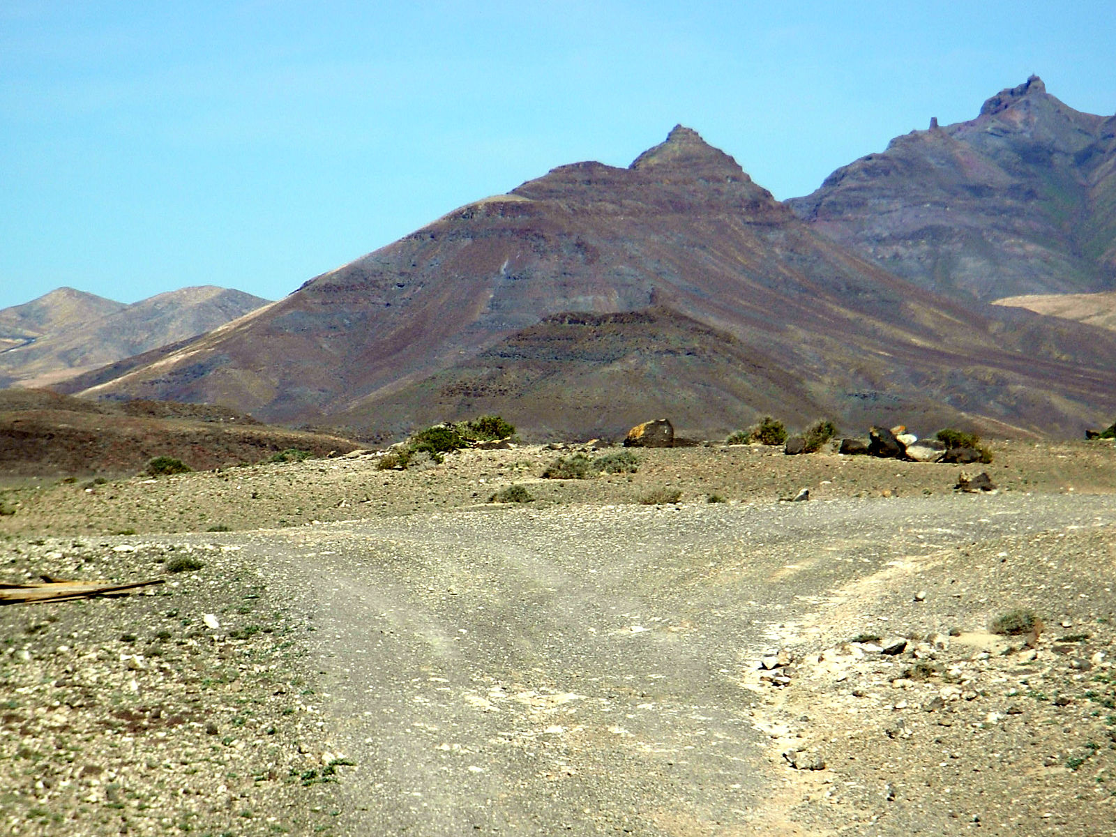 P25G0950.JPG