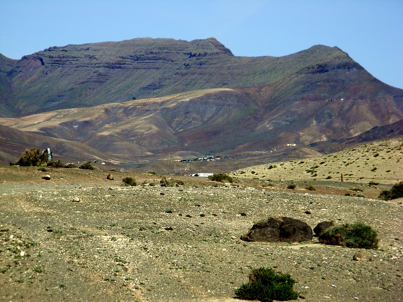 P25G0951.JPG