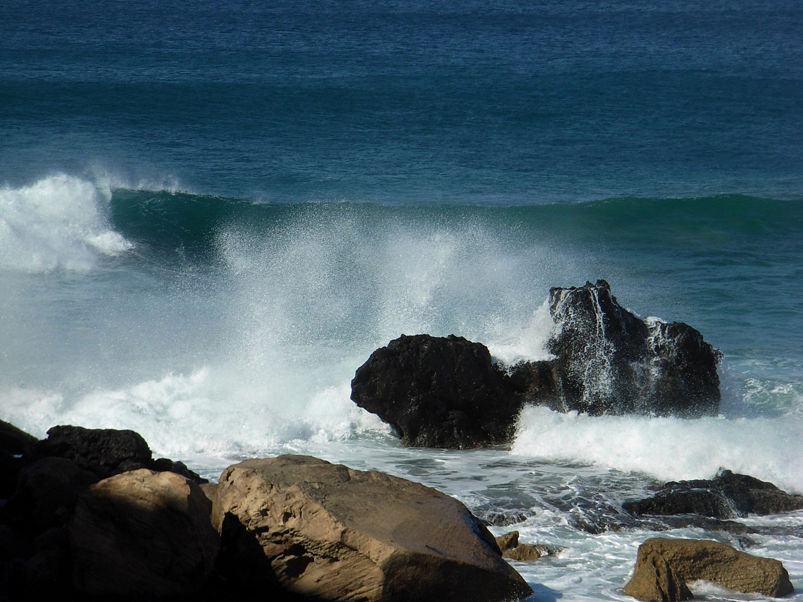 P25G0958.JPG