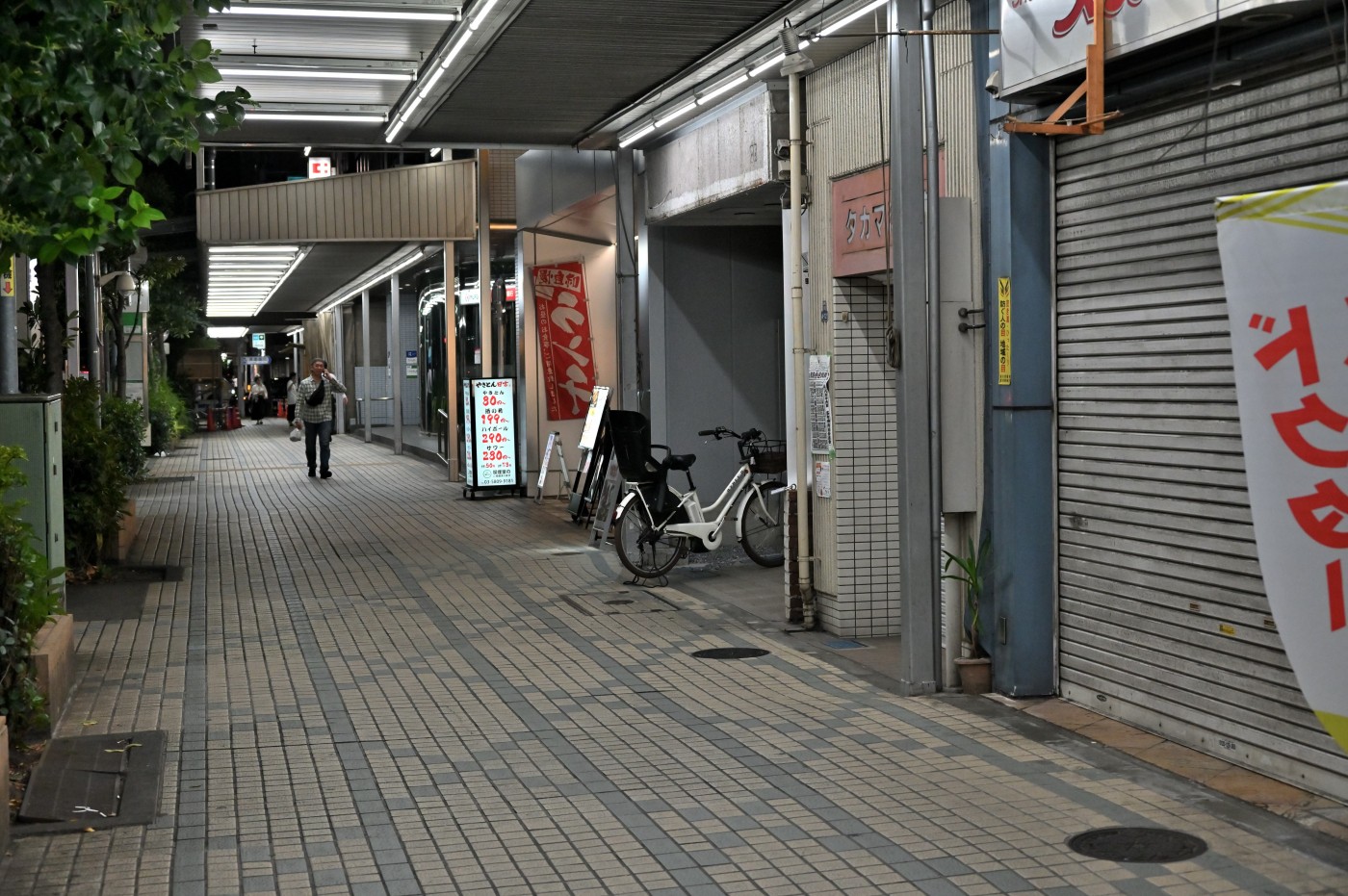 DSC_2398_01462.jpg