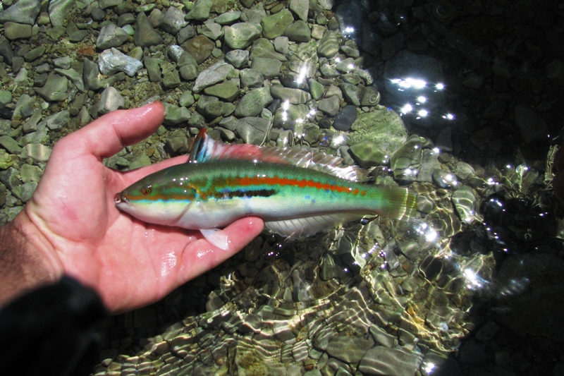 kajak 2 dzień 4.jpg